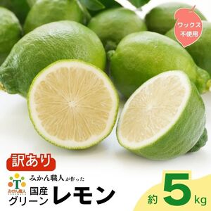 訳あり レモン (グリーンレモン) 5kg 種なし ノーワックス りのか ワックス不使用 みかん職人武田屋 グリーンレモン