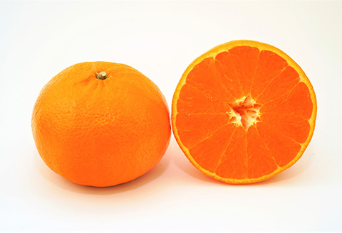 『予約受付』【令和7年2月上旬発送】唐津産 はまさき 3kg 化粧箱 みかん ミカン オレンジ フルーツ 果物 ギフト