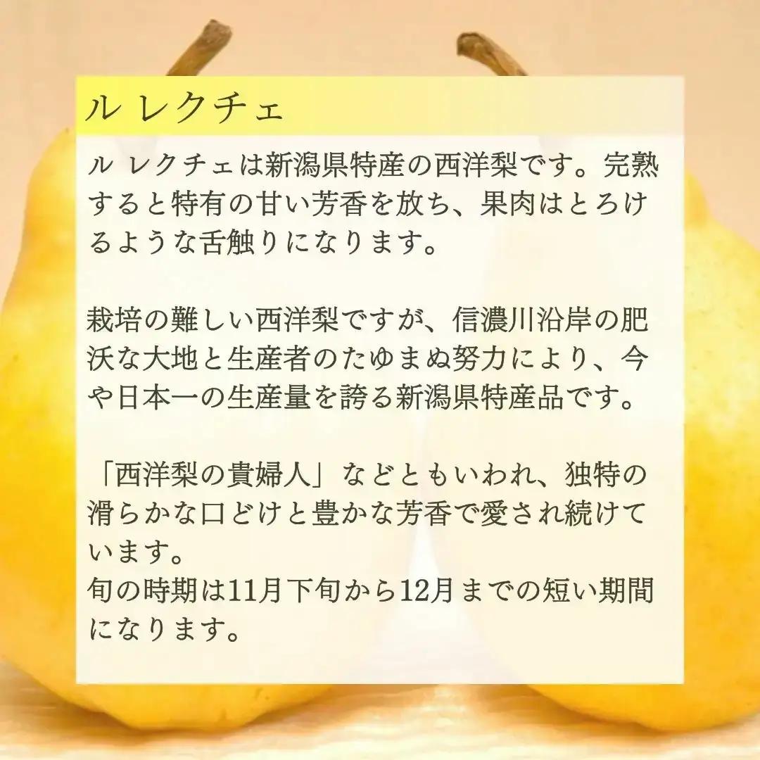 先行予約 フルーツ 定期便 全4回 フルーツ定期便 Aコース (桃2kg、シャインマスカット1房、和梨3kg、ル レクチェ1kg) 令和8年度 新潟県 フルーツ 定期便