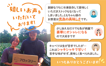 《先行予約》彩り野菜セット 3種 3回お届け 定期便 定期便