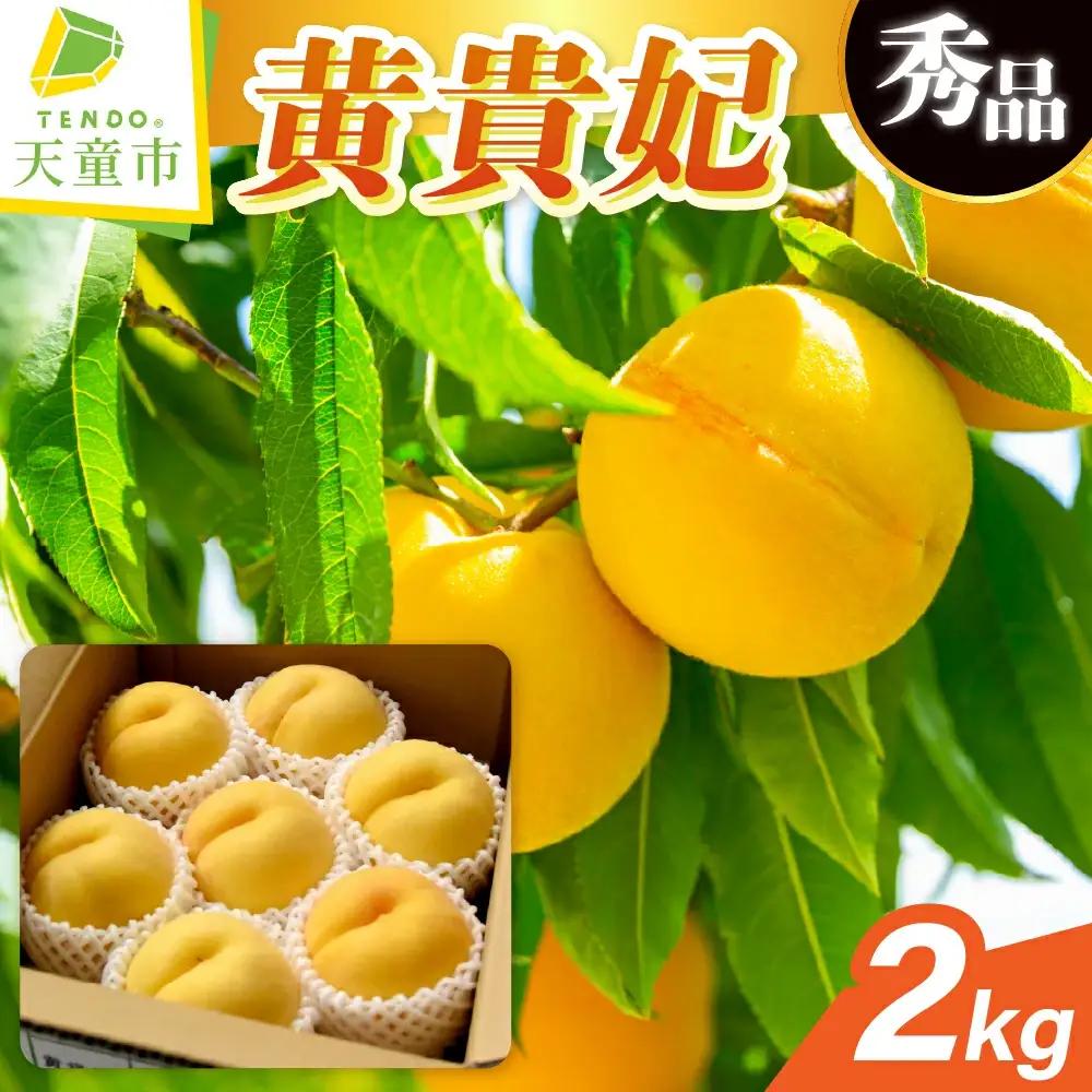 もも 黄貴妃 2kg フルーツ 果物 山形 黄桃 モモ