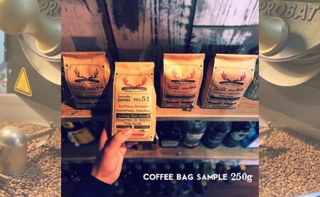 ロースターズセレクト 250g×2種類のおすすめスペシャルティコーヒー ドリンク コーヒー スペシャルティコーヒー 中挽き