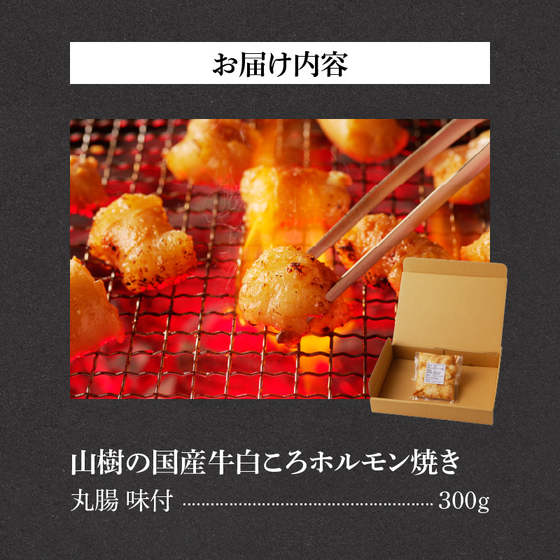山樹の国産牛白ころホルモン焼き（丸腸）味付　300g