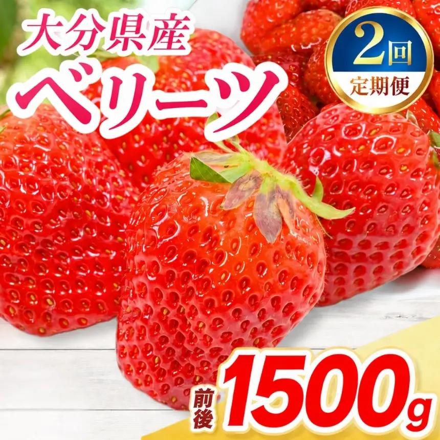 【定期便2回】ベリーツ × 6パック ( 約1500g ) ( 1パック/250g前後 ) | いちご ベリー フルーツ 果物 産地直送 大分県 中津市