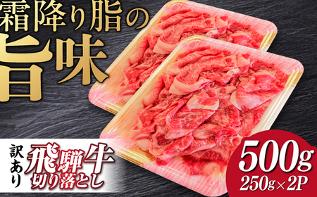 飛騨牛切り落とし500g 飛騨牛 切り落とし[ANBE013]
