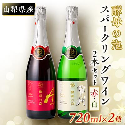 ふるさと納税 山梨県 山梨県産ベーリーA種と甲州種から造った辛口スパークリングワイン2本セット【マンズワイン】