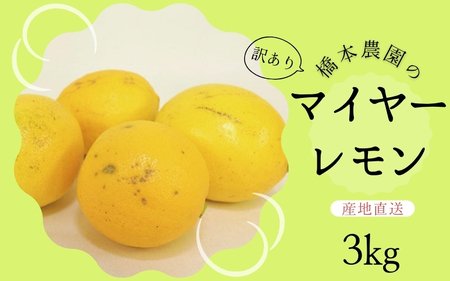 訳あり レモン マイヤーレモン 檸檬 三重県 家庭用 【先行予約】橋本農園の 訳あり マイヤーレモン 3kg【2024年12月初旬から2025年1月初旬までに順次発送】【mht008A】