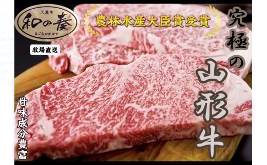 07-27-020　農林水産大臣賞受賞　特選天童牛和の奏サーロインステーキ500g