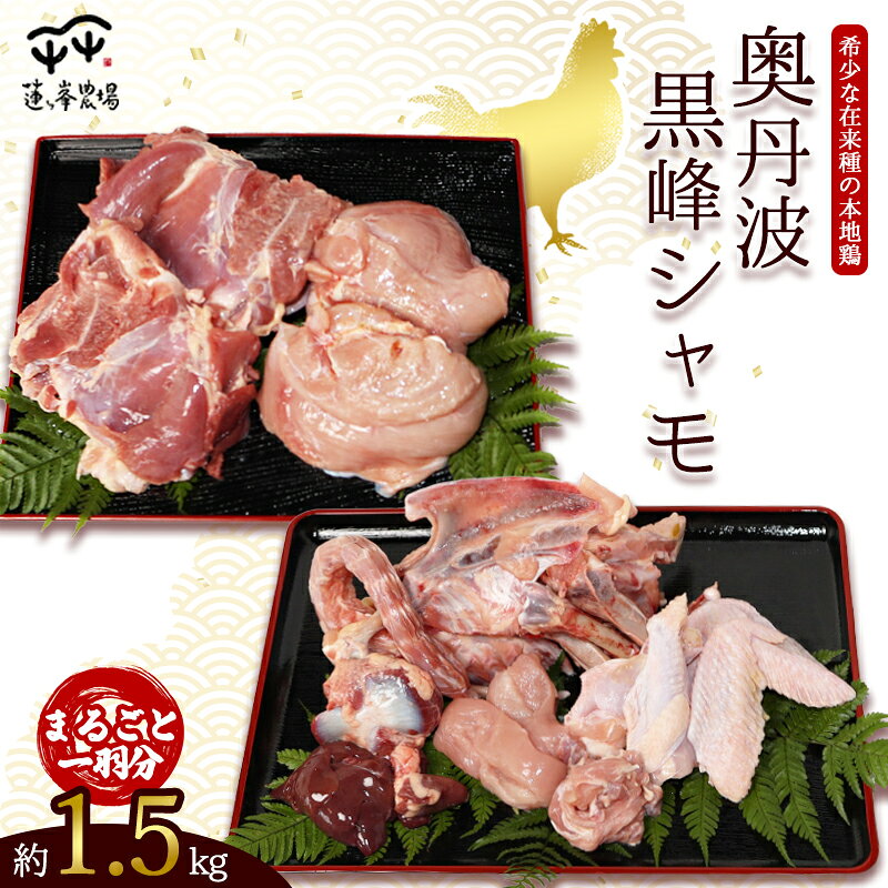 【ふるさと納税】朝じめ本地鶏 京都奥丹波が育む 黒峰シャモ 1羽丸ごとセット / 鶏肉 地鶏 国産 綾部市 / 株式会社For youふぁーむ［BSCA005］