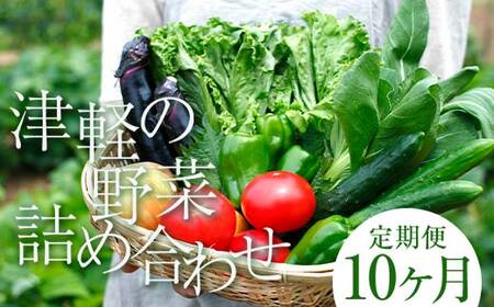 《定期便》 津軽の季節の野菜詰め合わせセット 【10ヶ月連続】 【中泊町特産物直売所ピュア】 F6N-102