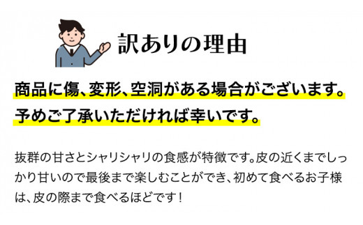 【訳あり】 際まで甘い こだまスイカ　愛娘（２玉）【2026年5月中旬より発送開始】スイカ 西瓜 旬 旬の果実 旬のフルーツ くだもの 果実 フルーツ 夏 小玉スイカ 小玉 果物 美味しい [BC06