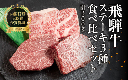 飛騨牛ステーキ 3種 食べ比べセット（各100g）計300g （サーロイン・ヒレ・赤身）【22-50】