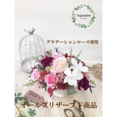 ふるさと納税 春日部市 プリザーブドフラワーアレンジ 【シェリ】 春日部市 シュガーパイン