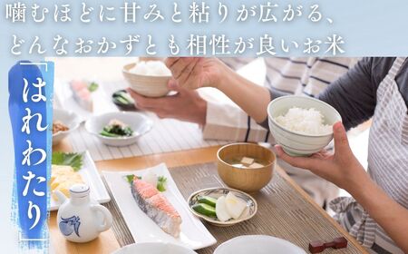 【令和7年産米】青森ブランド米 はれわたり5kg 白米[fu-0029-001]