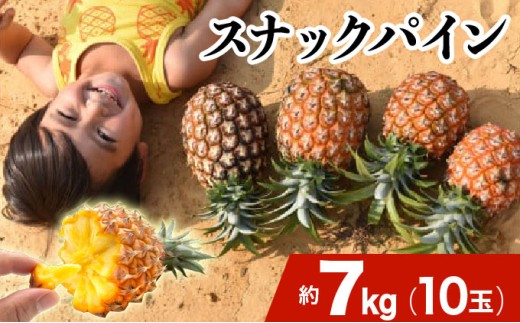 2025年 先行予約 スナックパイン 約7kg 10玉 西表島ひらい農園 パイナップル 果物 フルーツ パイン