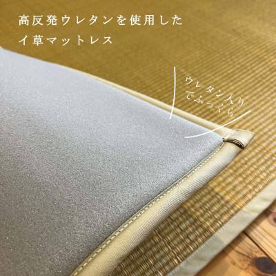 ふるさと納税 柳川市 畳マットレス超ふっくら仕上げ《ミントグリーン》　約95cm×約200cm |  | 01