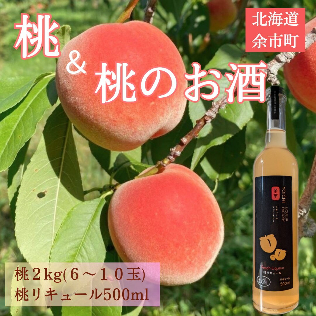 【ふるさと納税】【 先行予約 2025年8月下旬より発送 】＜ 北海道余市産 ＞ 桃 ＆ 桃リキュールのセット あかつき 完熟 フルーティー 贈り物 ギフト 送料無料 果汁 甘み 自社農園 職人 カクテル 北海道特産 高級フルーツ 旬の果物 夏の味覚 産地直送 北海道 余市町 送料無料