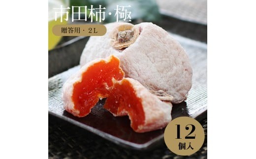 信州 特産品 市田柿 極 贈答用 2Lサイズ 12個入 〈2027年1月下旬～2月下旬発送〉| 果物 くだもの フルーツ 柿 干し柿 かき 長野県 信州 南信州 飯田市
