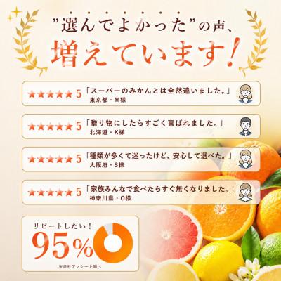 ふるさと納税 松山市 【選び抜いた一箱】鮮烈な酸味【グリーンレモン】2kg　愛媛県産 |  | 01