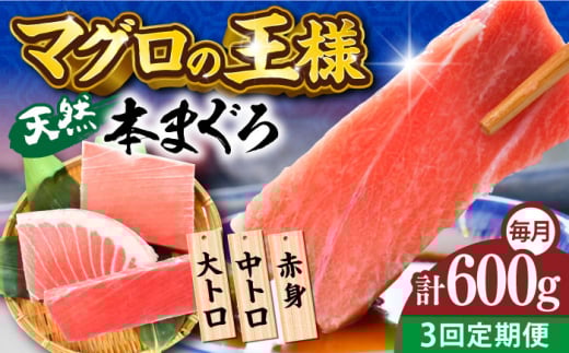 【全3回定期便】天然 本まぐろ 大トロ・中トロ・赤身（約200ｇ×3柵）約600ｇ  鮪 マグロ 魚 刺身 横須賀【横須賀商工会議所 おもてなしギフト事務局（本まぐろ直売所）】 [AKAK074]