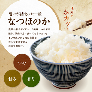 【寄附使途限定】【数量限定】大分県中津市産 やまくに誉 なつほのか 10kg ( 5kg × 2袋 ) | お米 白米 精米 単一米 大分県 中津市