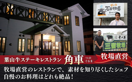 【全3回定期便】【葉山牛】1.2kg　スライス盛合せ ／ 牛肉 黒毛和牛 神奈川県 特産品【葉山牛ステーキレストラン 角車】[ASBD047]