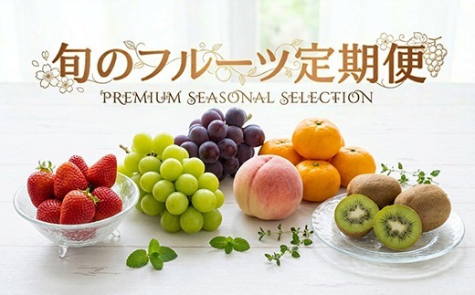 
            【年12回毎月】穫れたて!旬の野菜・果物定期便★あんずの里【随時開始】[G7010]
          