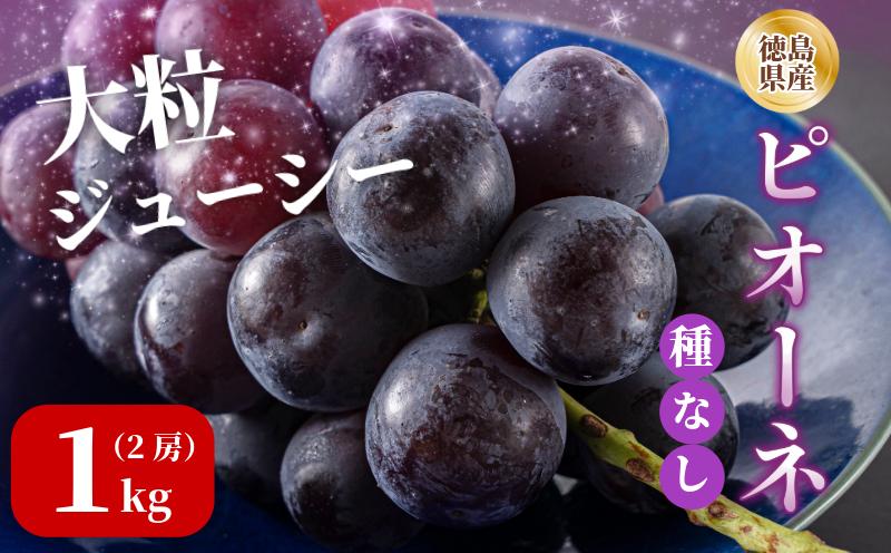 
                  ピオーネ 2房 1kg 7月上旬以降順次発送  ブドウ 葡萄 ピオーネ 新鮮 甘い 美味しい ジューシー 産地直送 ぶどう 種無し 国産 徳島県 【7月上旬から8月中旬まで発送】
                