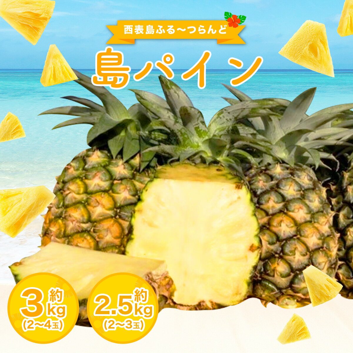 【ふるさと納税】2026年 先行予約 島パイン (ハワイ種) 約2.5〜3kg 2〜4玉 パイナップルの王道 【西表島産 パイン 果物 フルーツ 南国フルーツ パイナップル 沖縄県竹富町】　お届け：2026年6月中旬〜7月下旬（収穫でき次第順次発送）