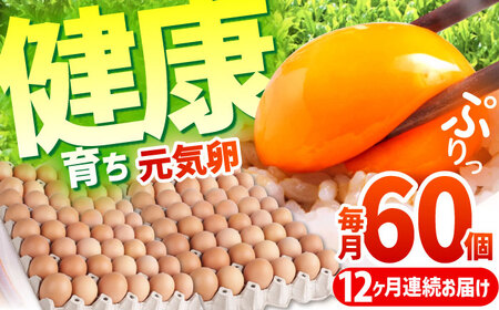 【全12回定期便】お茶と海藻で健康育ち 元気卵 720個（60個×12回） / たまご タマゴ 玉子 鶏卵 / 亀山市 / 藪本養鶏園[AMBH011]