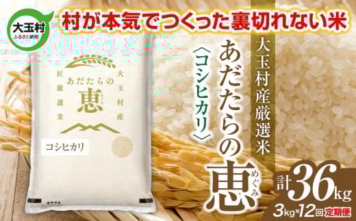 米 大玉村産厳選米「あだたらの恵」（品種：コシヒカリ） 計36kg 《 令和7年産  》 定期便 ( 全12回 × 3kg ) ｜ 福島 大玉村 お米 米作り こしひかり 令和7年 精米 白米 こめ コメ ご飯 送料無料 大玉村農業振興公社 ｜ on-ak-3kg-t12-r7