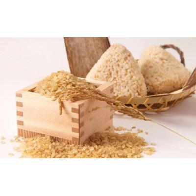 ふるさと納税 飯豊町 【令和7年産】飯豊町産　金のいぶき玄米4kg |  | 01