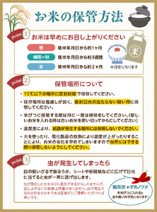 山形県産 はえぬき 10kg(5kg×2袋)【2025年度産米】 065-002