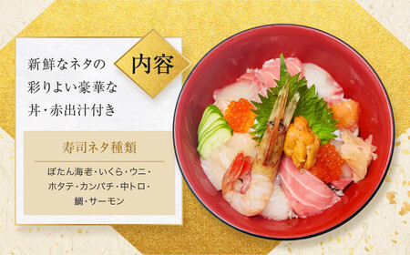 【京・朱雀 すし市場】寿司セット『ふるさと海鮮丼』お食事券1枚｜中央卸売市場内 人気店 特製海鮮丼 グルメ観光