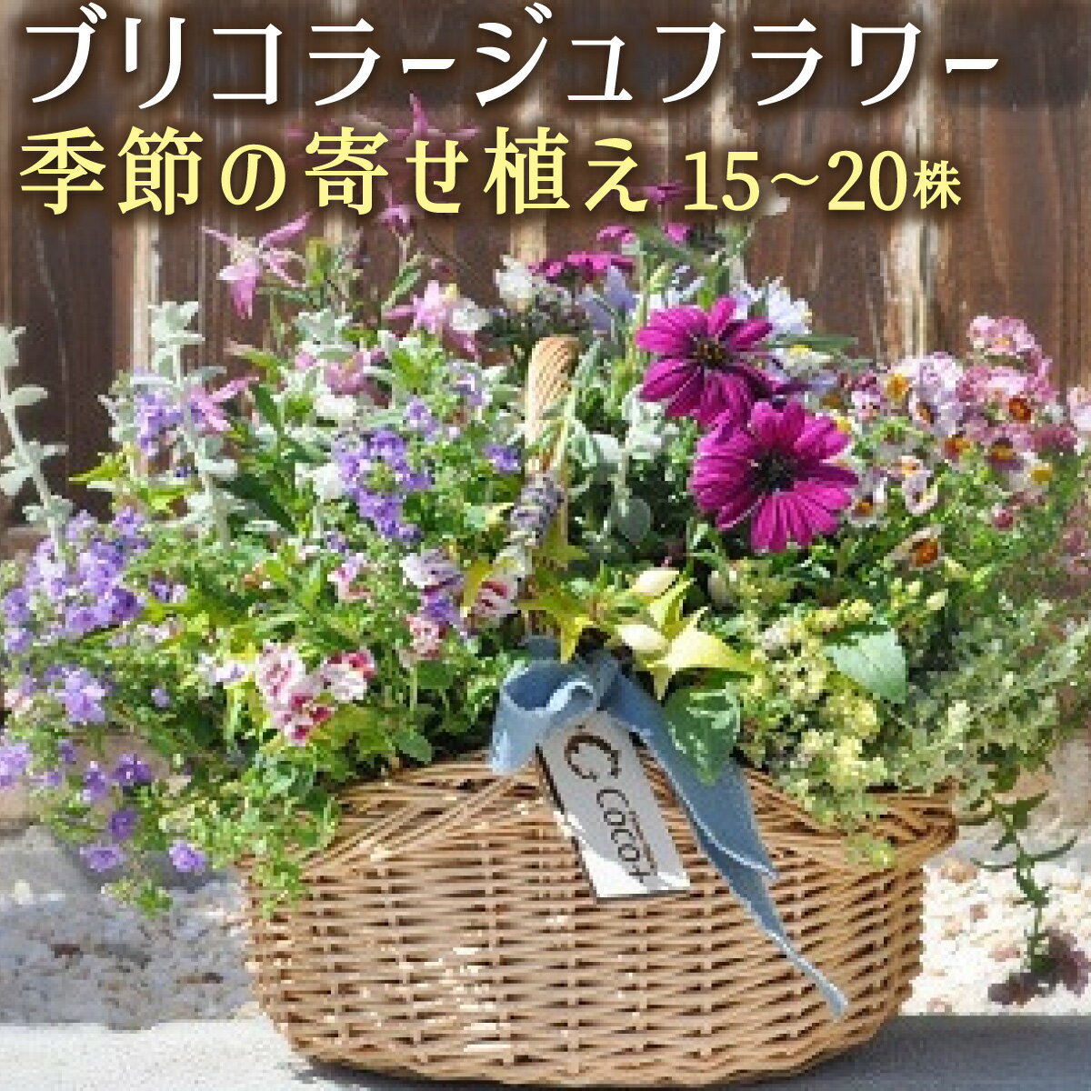 【ふるさと納税】季節の寄せ植え ブリコラージュフラワー 15~20株使用!! D-528