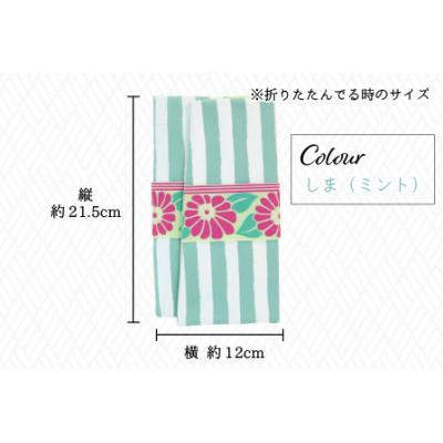 ふるさと納税 坂井市 越前織工場がつくるかわいい袱紗 「オリボンフクサ」　しま(ミント)　 [A-3301] |  | 01