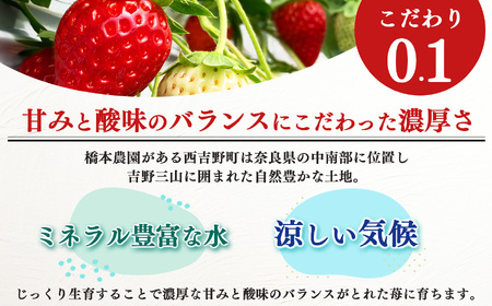 奈良県西吉野産 大和なでし苺 古都華 約270ｇ×２パック（1箱） | フルーツ くだもの 果物 いちご イチゴ 大和なでし苺 ことか コトカ 古都華 奈良県 五條市和なでし苺 ことか コトカ 古都華