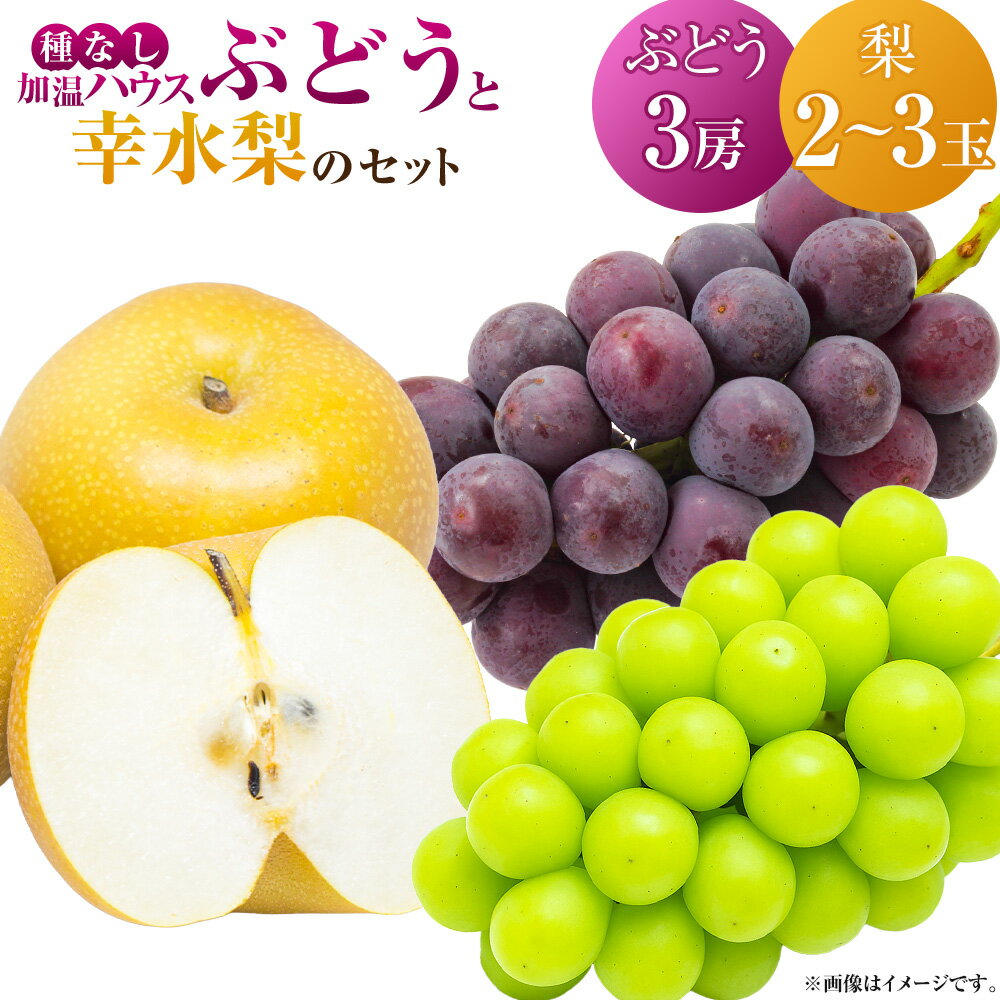 【ふるさと納税】【先行予約】種なし 加温ハウスぶどう （3房） 幸水梨 （2～3玉） セット 【2026年7月下旬～8月上旬より順次発送予定】 【春光園】 有機配合肥料使用 種なし ぶどう ブドウ 葡萄 梨 なし 果物 フルーツ 詰め合わせ 冷蔵 送料無料 福岡県 うきは市