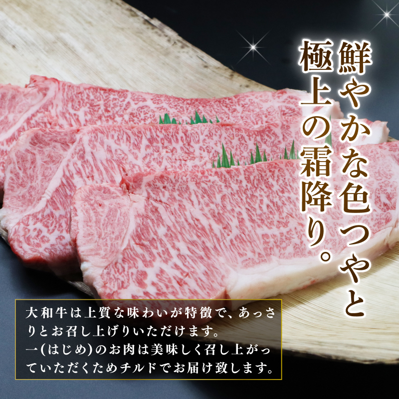 F-48 大和牛サーロイン300g×3枚
