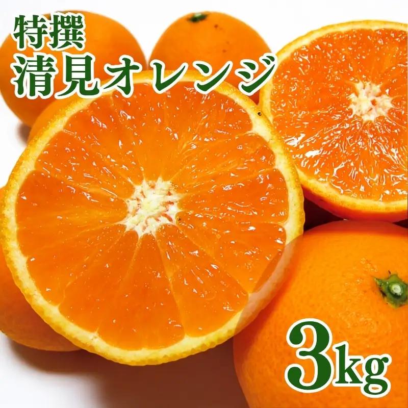 特撰　清見オレンジ 3kg+200g(補償分)【2027年2月下旬～5月上旬頃に順次発送予定】【ard239A】