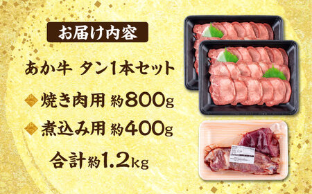 【数量限定】 熊本 あか牛 タン 1本セット 約1.2kg 焼き肉用約800g 煮こみ用約400g【合同会社 たべたせいか】[AYCB016]