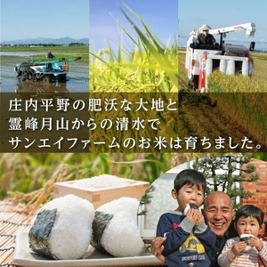 【令和7年産】 山形県庄内産 工藤さんの特別栽培米 つや姫無洗米 10kg （5kg×2袋）【令和8年5月11日～5月17日発送】 山形県鶴岡市 株式会社サンエイファーム