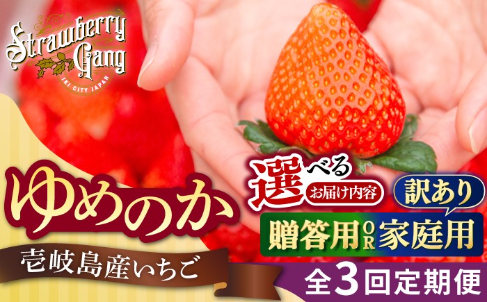 
                  【先行予約】【選べる贈答用/訳あり】【全3回定期便】ゆめのか いちご 計1kg（250g×4パック）【2027年1月以降順次発送】 いちご 苺 イチゴ 果物 フルーツ 甘い ichigo strawberry 生いちご 長崎県 壱岐市【Strawberry Gang】 [JEM002/004] お取り寄せいちご 赤い イチゴ 産地直送 こだわりいちご フレッシュ 贈答 くだもの 旬 新鮮
                