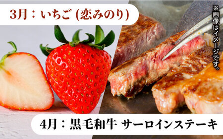 【4回定期便】肉と果物 定期便 熊本のうまかもん [ZZZ003]  フルーツ定期便 果物 くだもの 果物定期便 くまもと黒毛和牛 九州 和牛 ステーキ 切り落とし フルーツ お肉