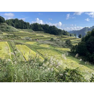 ふるさと納税 十日町市 【令和7年産新米先行予約】日本棚田百選のお米 天空の里・魚沼産こしひかり　5kg×3 |  | 01