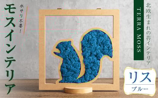 モスインテリア「リス」(ブルー) ＜横200mm・高さ200mm・幅15mm＞ 観葉植物  苔 コケ テラモス インテリア 植物 【結び】 sh028-E