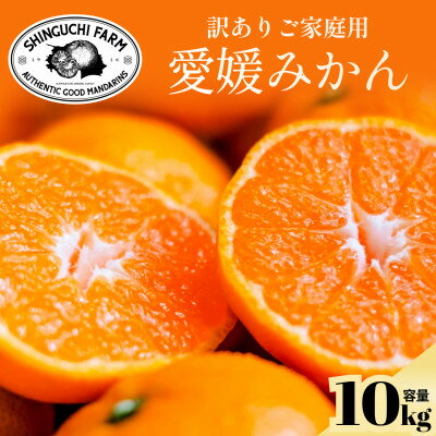 【ふるさと納税】今シーズン発送開始!【訳あり】愛媛みかん 10kg 愛媛県産【D70-147】【1695552】