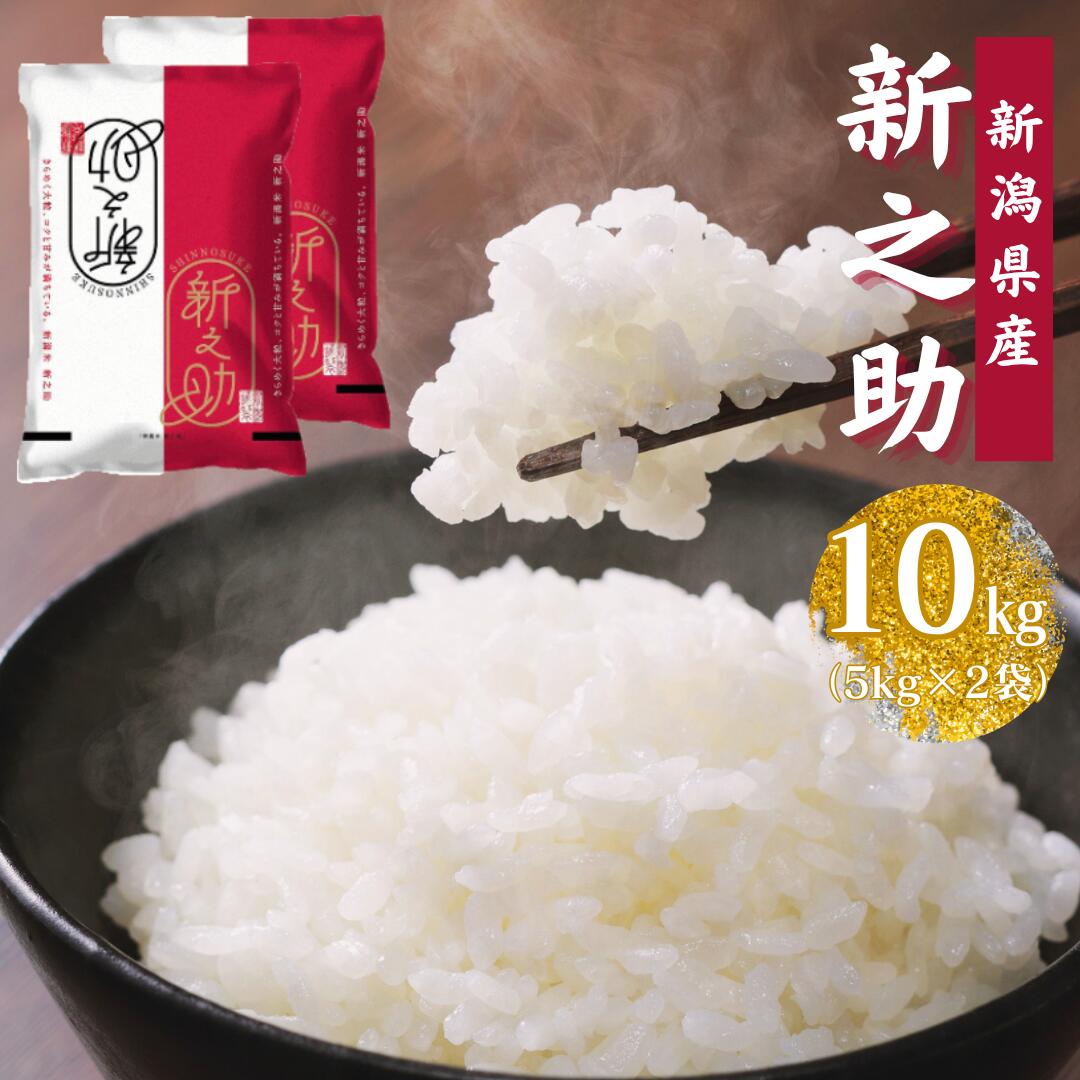 【ふるさと納税】【 令和7年産 】 新潟産 新之助 10kg (5kg×2袋) 【大人気のため予告なしに受付休止・再開します】 精米 白米 ほんのり 香り 芳醇 甘み コク しっかり 粘り 弾力 冷めても おいしい しんのすけ 米 こめ コメ