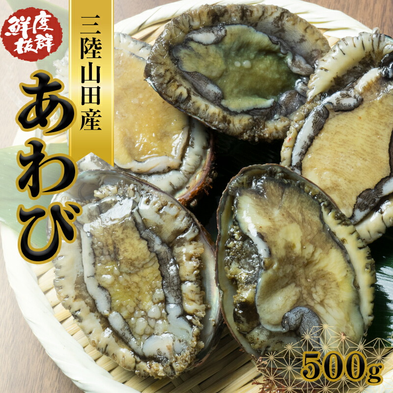 川秀の冷凍鮑 500g 三陸山田 山田町 エゾアワビ 三陸産アワビ 海産品  おつまみ 肴 アテ 海の幸 あわび アワビ 鮑 貝 魚介 海産物 食品 YD-445