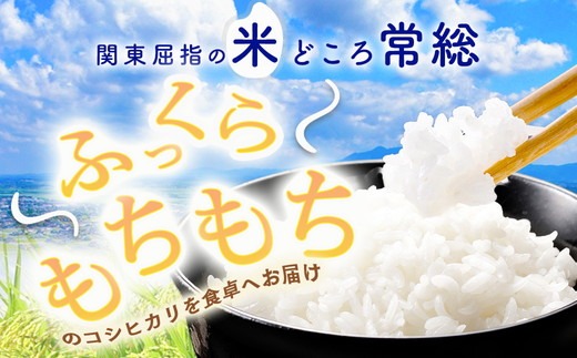【令和7年産】【精米】コシヒカリ5kg｜茨城県常総市産　精米 米　お米　白米　ご飯　コメ こめ　こしひかり